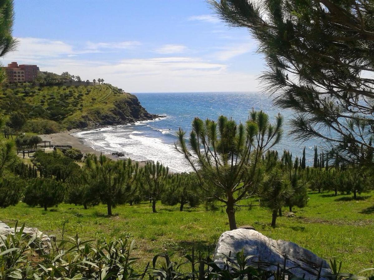 Apartamento Brisa Del Mar Almuñécar Екстериор снимка